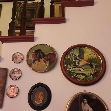 Silvana Oda ve Kahvaltı *