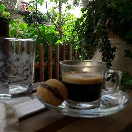 Silvana Oda ve Kahvaltı Travedona